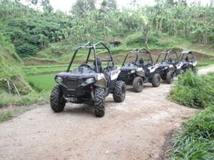 Bali Buggy Tour, Tour Buggy Bali