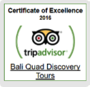 Bali Quad Tripadvisor