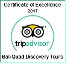Bali Quad Tripadvisor